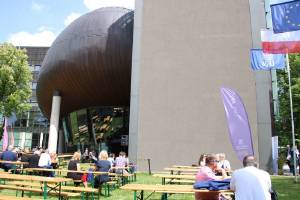 Zjazd Absolwentów WPiA 100